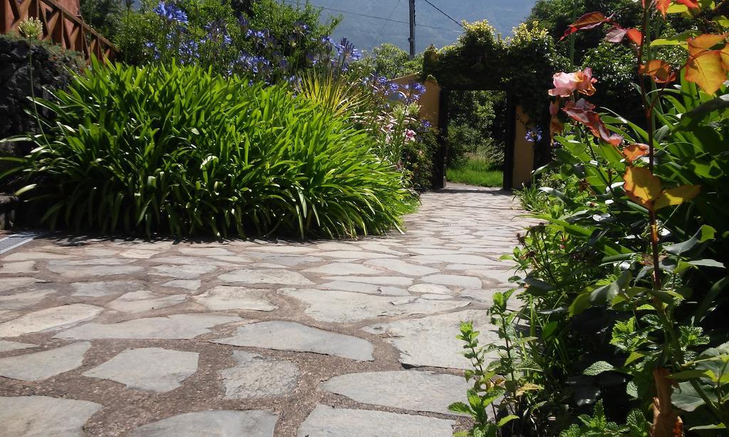 Rural Las Llanadas Βίλα Λος Ρεαλέχος Δωμάτιο φωτογραφία