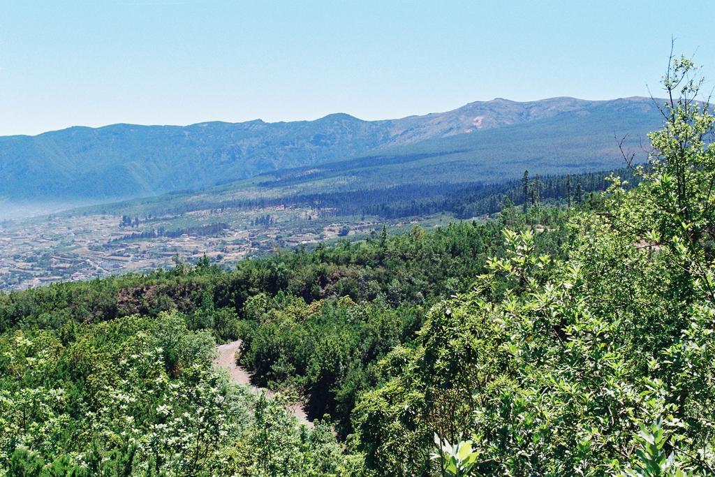 Rural Las Llanadas Βίλα Λος Ρεαλέχος Δωμάτιο φωτογραφία